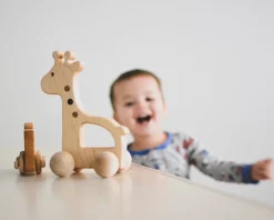 Hot Bannor Toys Giraffe Push Toy