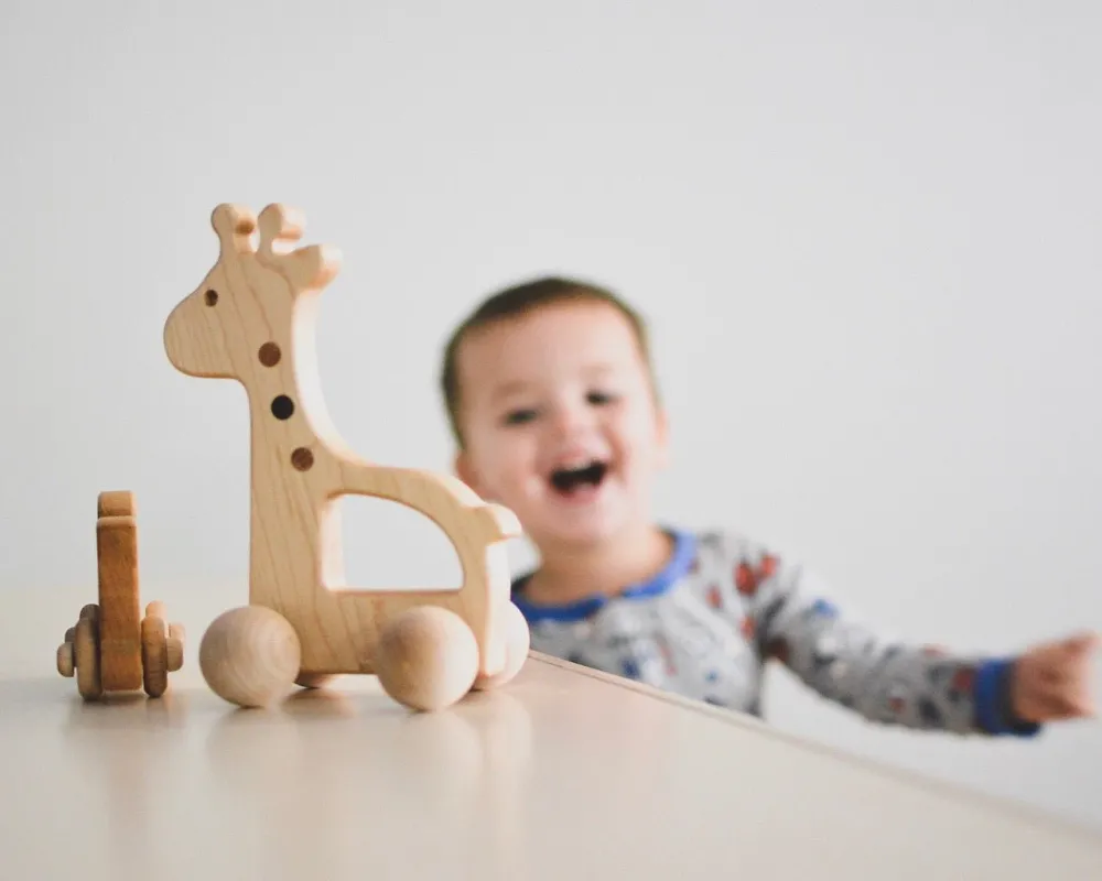 Hot Bannor Toys Giraffe Push Toy