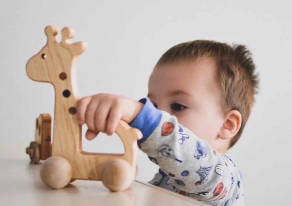 Hot Bannor Toys Giraffe Push Toy