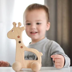 Hot Bannor Toys Giraffe Push Toy