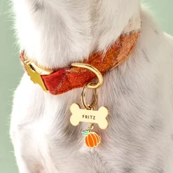Discount The Foggy Dog Halloween Favorites Collar Charm Set