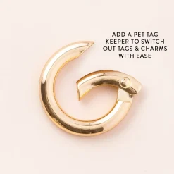 Discount The Foggy Dog Halloween Favorites Collar Charm Set