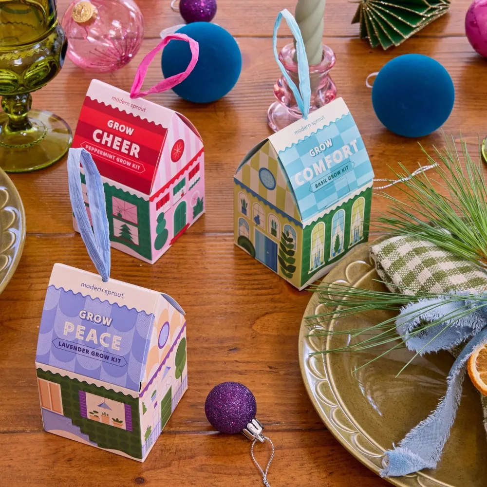 Discount Modern Sprout Herb Grow Kit Ornament