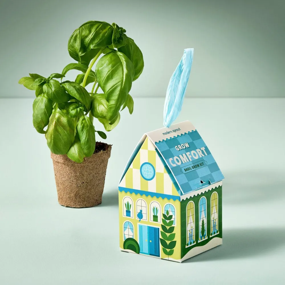 Discount Modern Sprout Herb Grow Kit Ornament