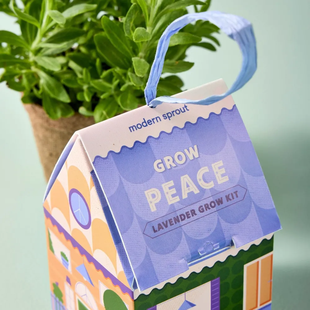 Discount Modern Sprout Herb Grow Kit Ornament