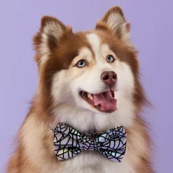 Discount The Foggy Dog Holographic Spiderweb Bow Tie Collar