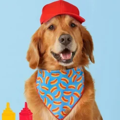Sale The Foggy Dog Hot Diggity Dog Bandana