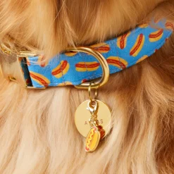 The Foggy Dog Hot Diggity Dog Collar