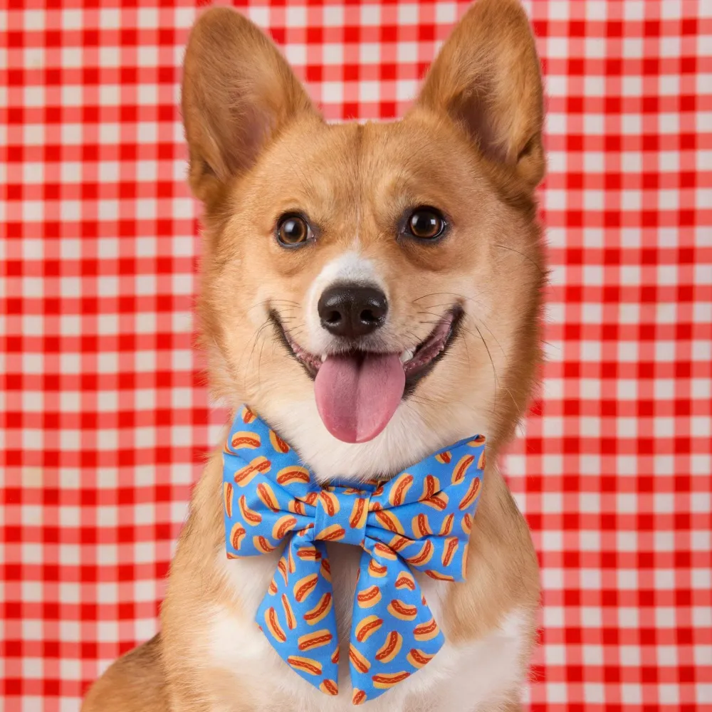 Best The Foggy Dog Hot Diggity Lady Dog Bow