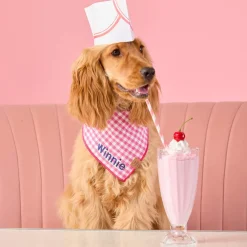 Outlet The Foggy Dog Hot Pink Gingham Dog Bandana