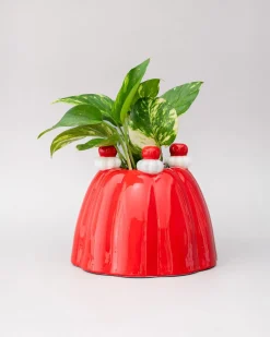 Online ban.do Jelly Dessert Vase