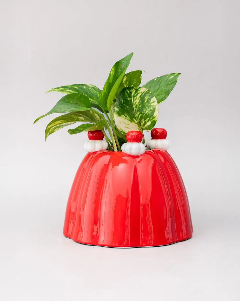 Online ban.do Jelly Dessert Vase