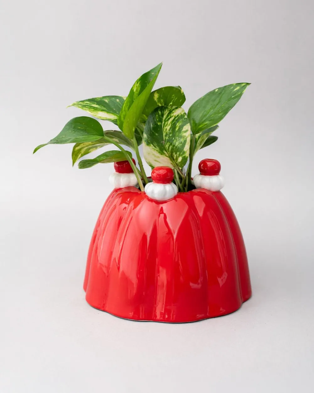 Online ban.do Jelly Dessert Vase