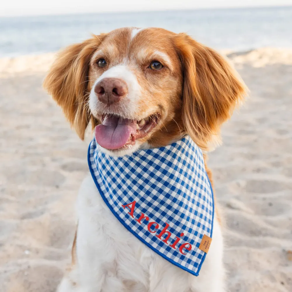 Best The Foggy Dog Lake Blue Gingham Dog Bandana