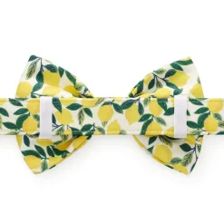 New The Foggy Dog Lemon Zest Bow Tie Collar