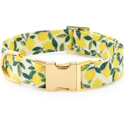New The Foggy Dog Lemon Zest Bow Tie Collar
