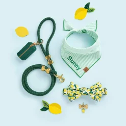 Discount The Foggy Dog Lemon Zest Dog Bow Tie