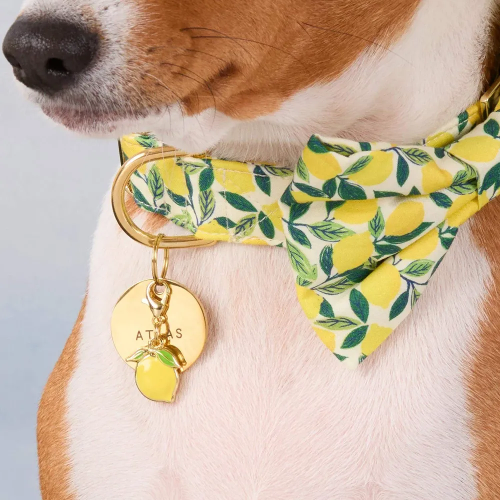 Discount The Foggy Dog Lemon Zest Dog Bow Tie