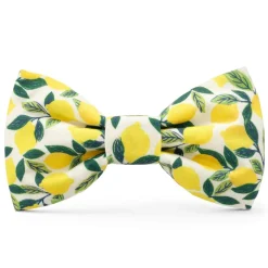 Discount The Foggy Dog Lemon Zest Dog Bow Tie