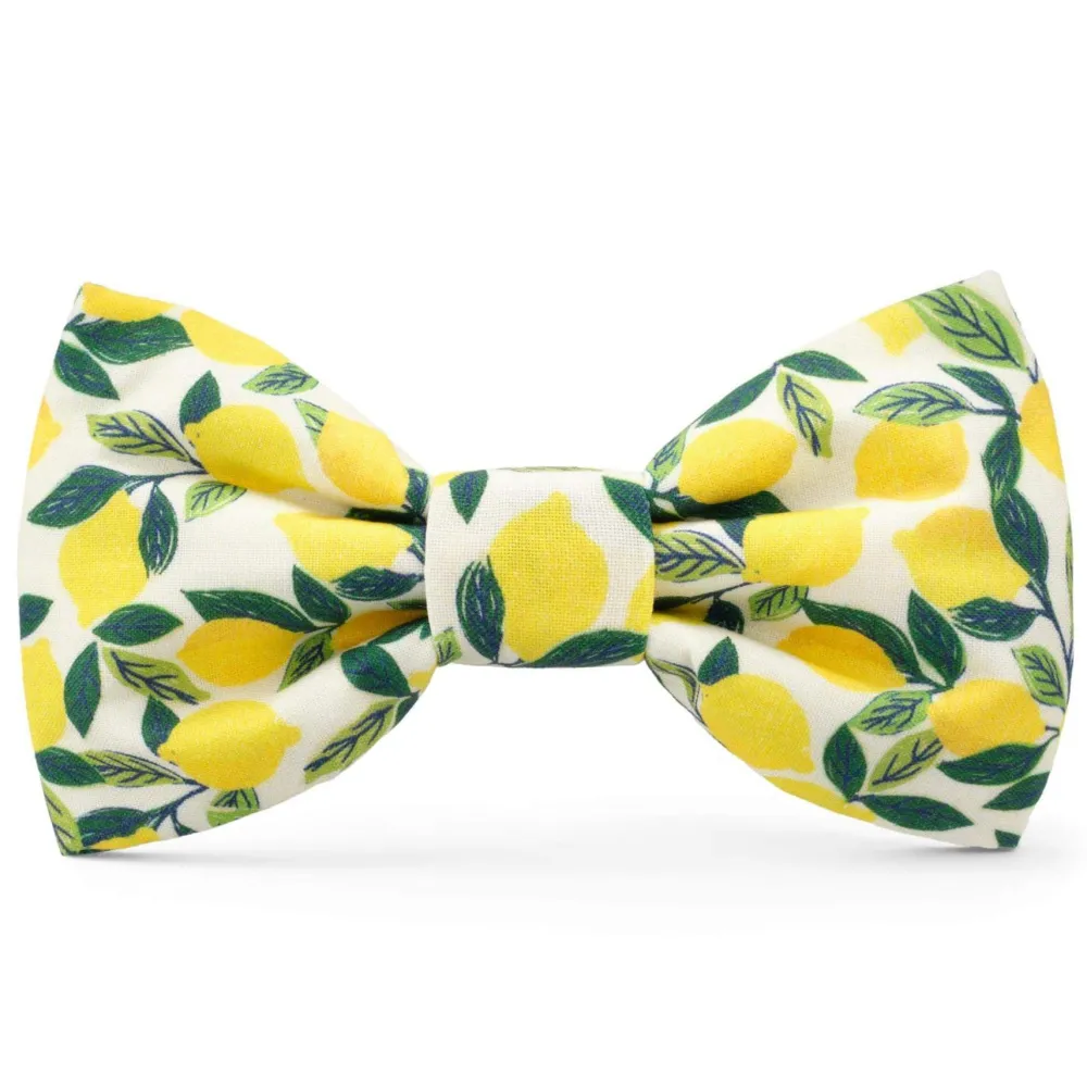 Discount The Foggy Dog Lemon Zest Dog Bow Tie