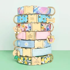 Outlet The Foggy Dog Lemon Zest Dog Collar