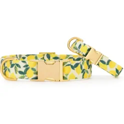 Outlet The Foggy Dog Lemon Zest Dog Collar