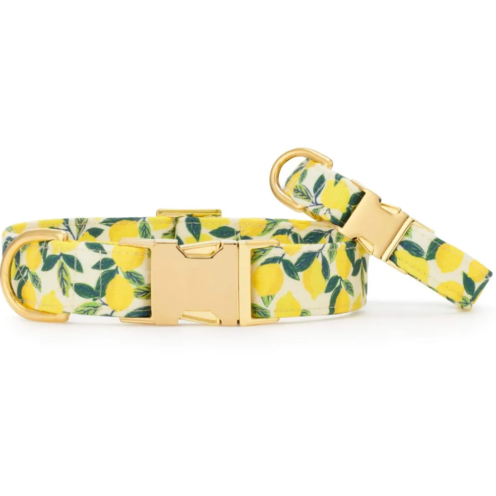 Outlet The Foggy Dog Lemon Zest Dog Collar