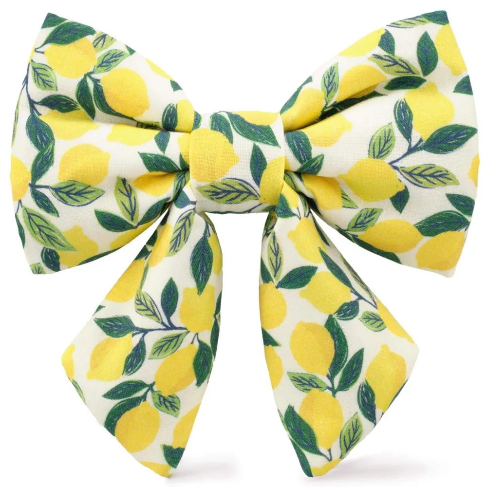 Hot The Foggy Dog Lemon Zest Lady Dog Bow