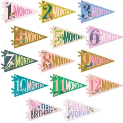 Sale Lucy Darling Little Artist Petit Milestone Pennants