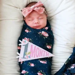 Sale Lucy Darling Little Artist Petit Milestone Pennants