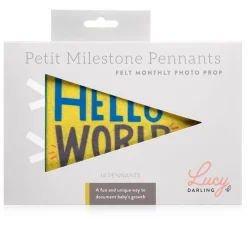Best Lucy Darling Little Kaleidoscope Petit Milestone Pennants
