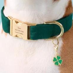 Discount The Foggy Dog Lucky Clover Collar Charm
