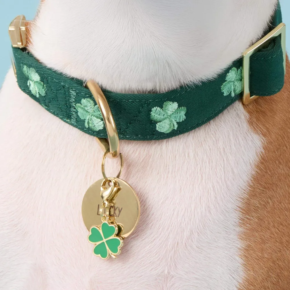 Discount The Foggy Dog Lucky Clover Collar Charm
