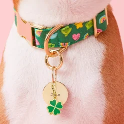 Discount The Foggy Dog Lucky Clover Collar Charm