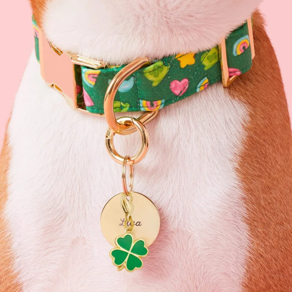 Discount The Foggy Dog Lucky Clover Collar Charm