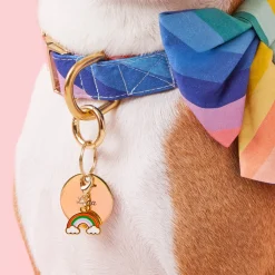 The Foggy Dog Lucky Rainbow Collar Charm Set