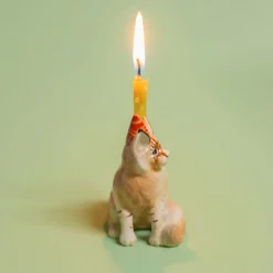 Online Camp Hollow Maine Coon Cat Cake Topper