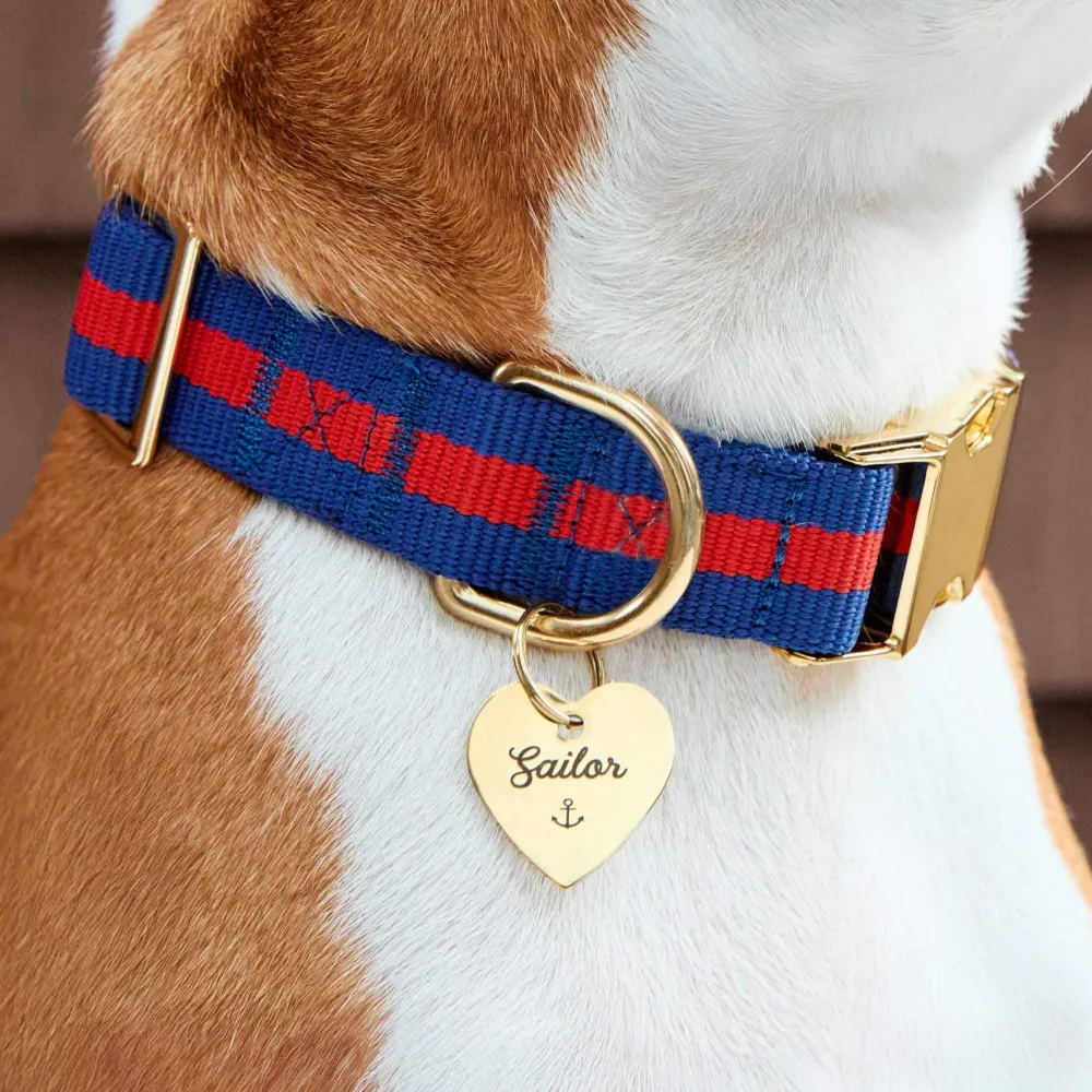Outlet The Foggy Dog Mariner Striped Webbing Dog Collar