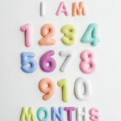 Discount Lucy Darling Milestone Felt Numbers in Pastel