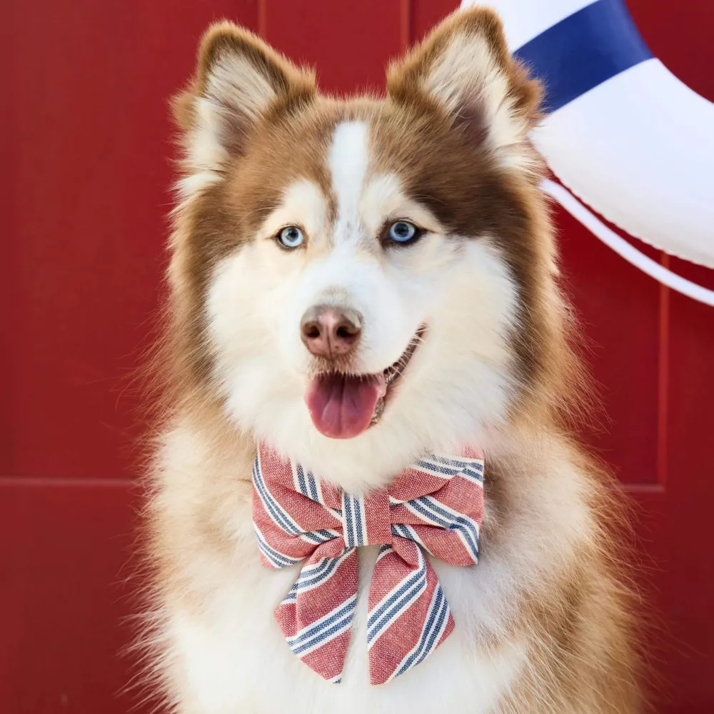 Clearance The Foggy Dog Nantucket Stripe Lady Dog Bow