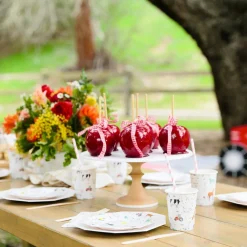 Best Jollity & Co. + Daydream Society On the Farm Party Cups