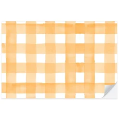 Best Cami Monet Orange Gingham Paper Placemats