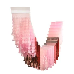 Hot Packed Party Pretty in Pink Fringe Canopy Banners (Set of 2)