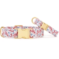 Clearance The Foggy Dog Printfresh x TFD Lobster Landing Dog Collar