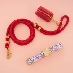 Discount The Foggy Dog Printfresh x TFD Lobster Landing Collar Walk Set