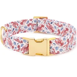 Discount The Foggy Dog Printfresh x TFD Lobster Landing Collar Walk Set