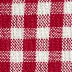 Sale The Foggy Dog Red Gingham Collar Walk Set