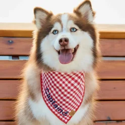 Discount The Foggy Dog Red Gingham Dog Bandana