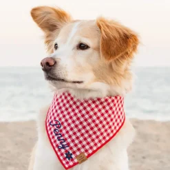 Discount The Foggy Dog Red Gingham Dog Bandana
