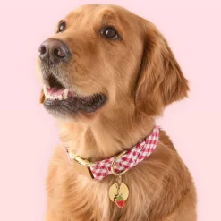 Online The Foggy Dog Red Gingham Dog Collar